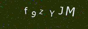 Validation image
