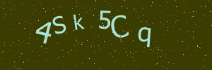 Validation image