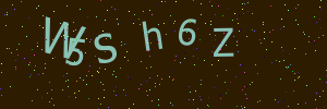 Validation image
